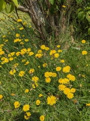 User post image