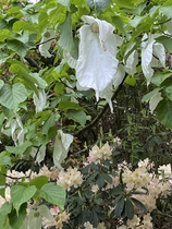 User post image