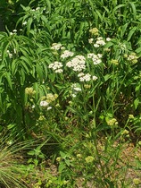 User post image