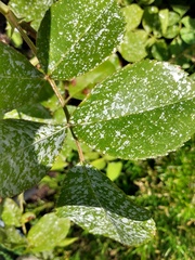 User post image
