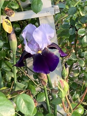 User post image