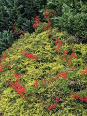 User post image