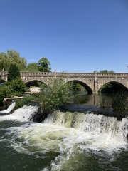 User post image