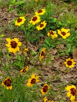 User post image