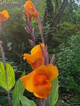 User post image