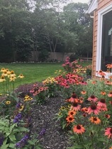 User post image