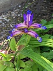 User post image