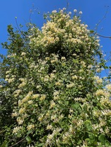 User post image