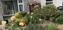 User post image