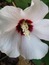 User post image