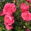 User post image