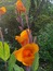 User post image