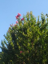 User post image