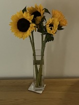User post image