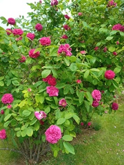 User post image