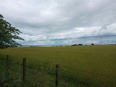 User post image
