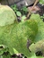 User post image