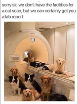 User post image