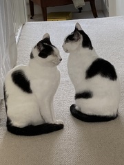 User post image