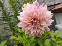 User post image
