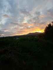 User post image