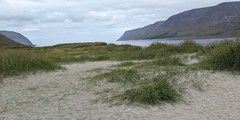 User post image
