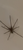 User post image