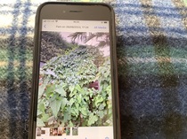 User post image