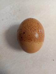 User post image