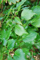User post image