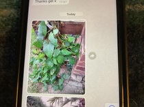 User post image