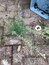 User post image