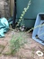 User post image
