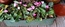 User post image