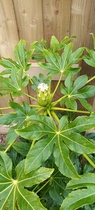 User post image
