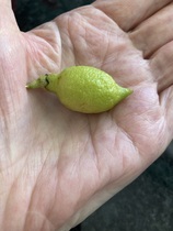 User post image