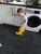 User post image