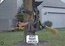 User post image