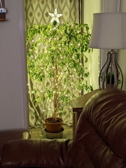 User post image