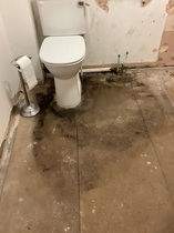 User post image
