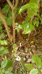 User post image