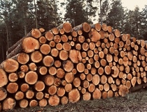 User post image