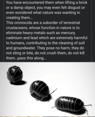User post image