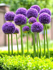 User post image
