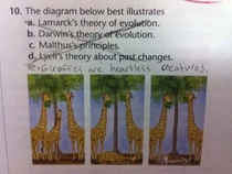 User post image