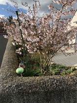 User post image