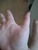 User post image