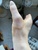 User post image
