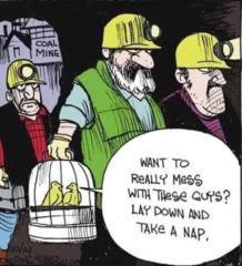 User post image