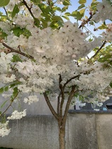 User post image